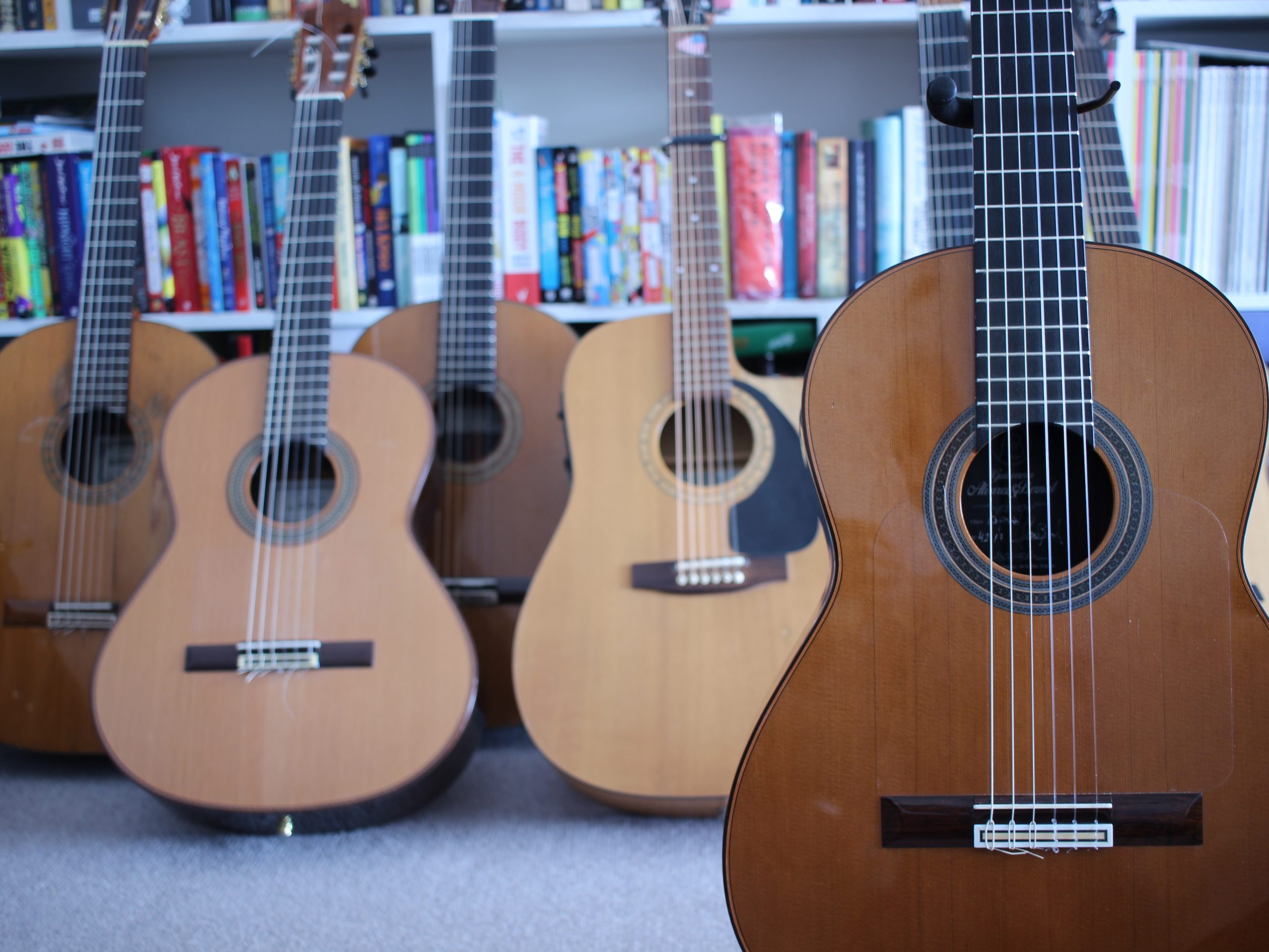 Differences between a Classical and Flamenco Guitars Latin Guitar Mastery