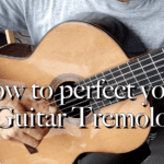 The magic of the guitar tremolo